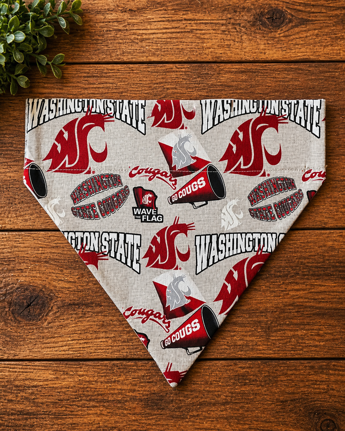 WSU Gray Megaphone