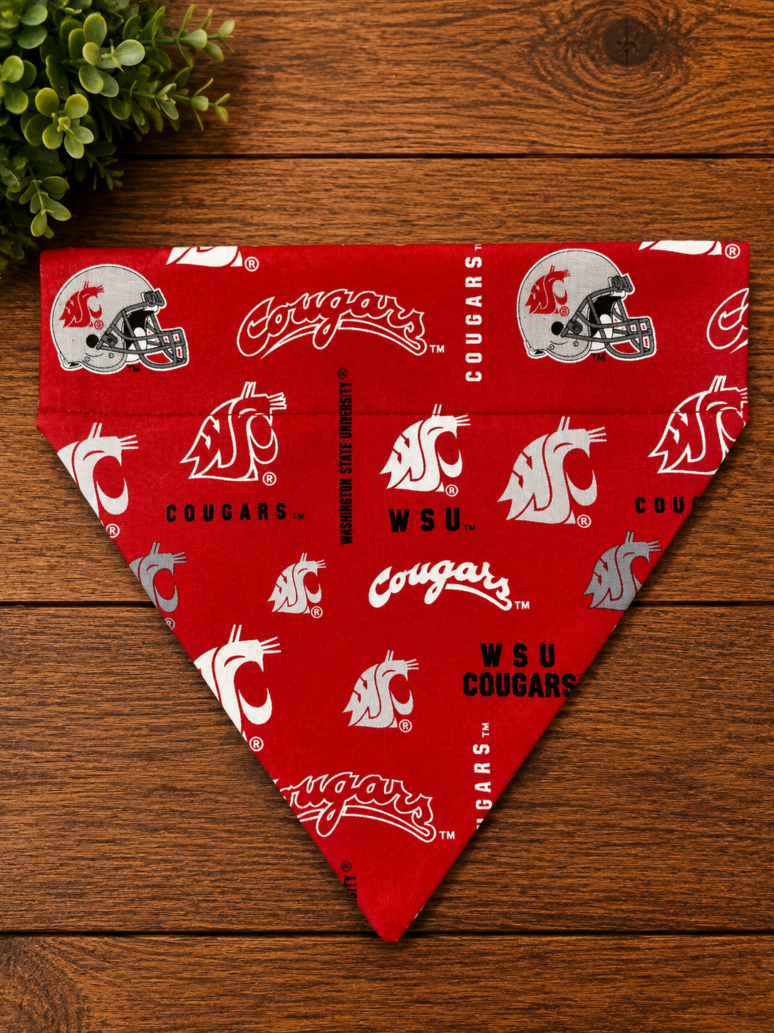WSU Crimson Helmet