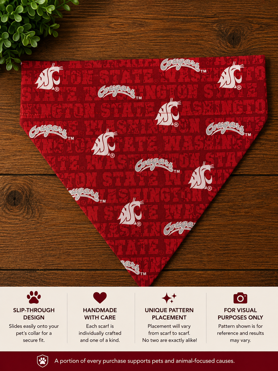 WSU Washington St Words