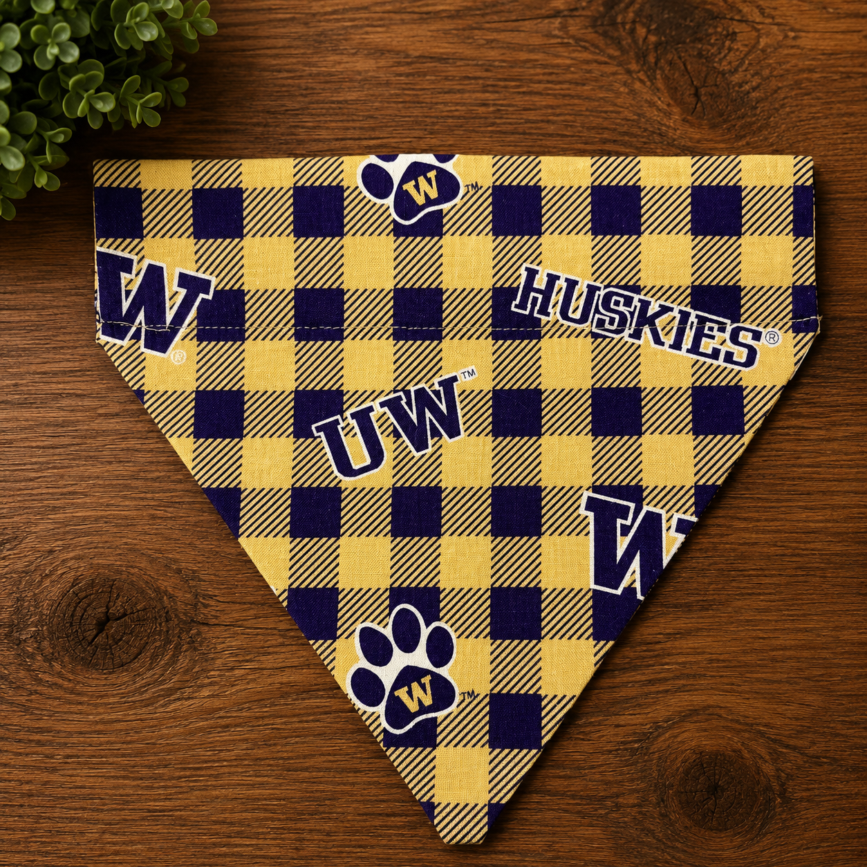 UW Checkerboard
