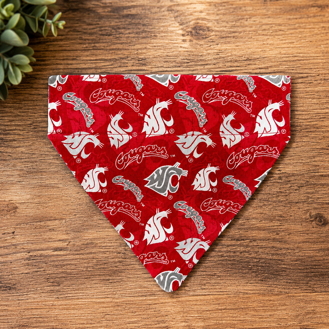 WSU/Cougars Crimson