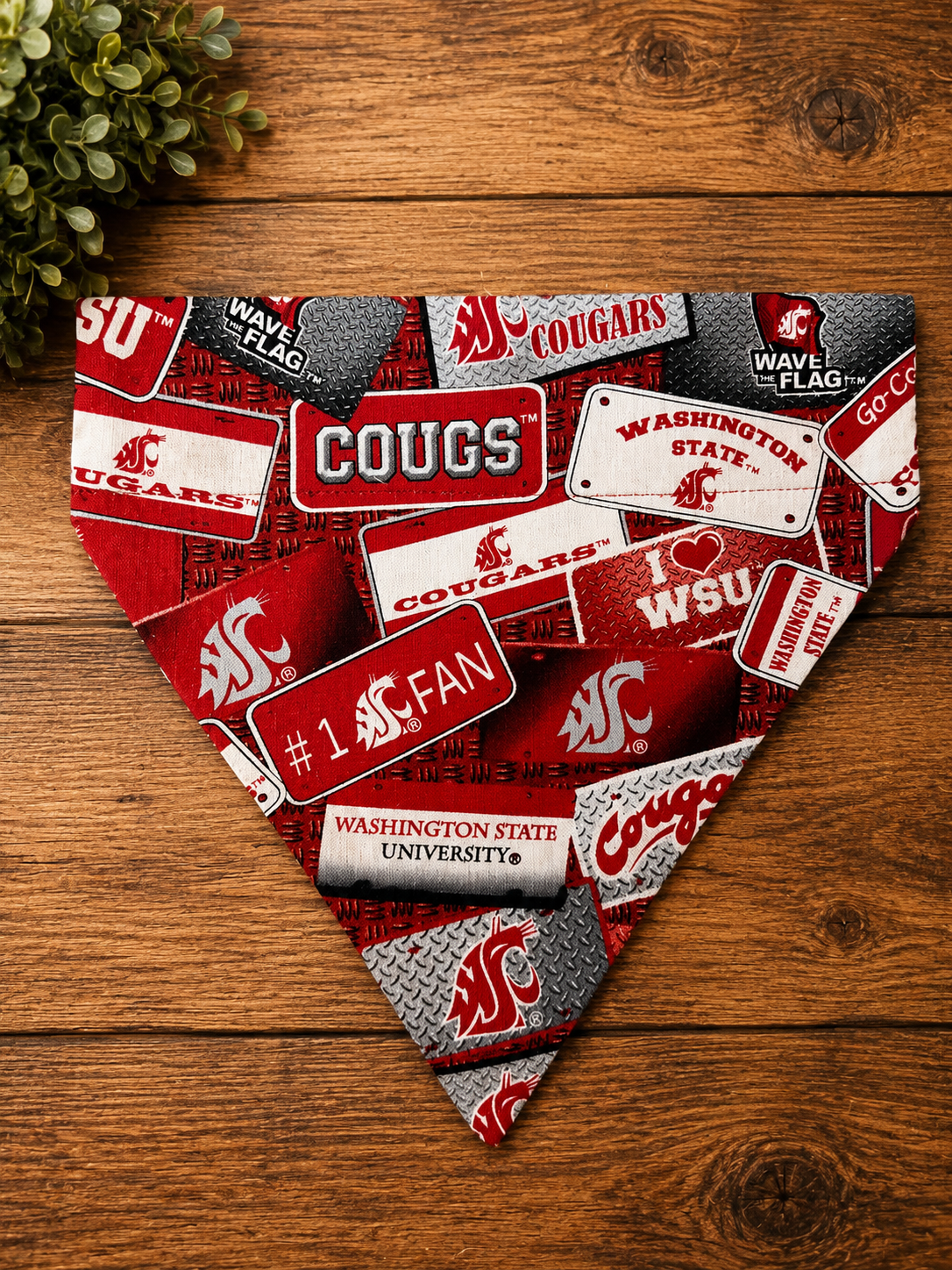 WSU License Plates