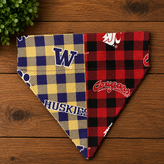 House Divided