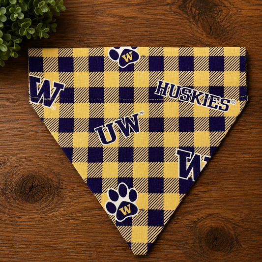 UW Checkerboard