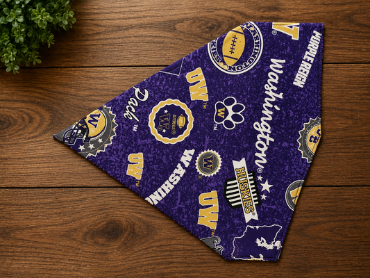 UW Purple Reign
