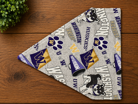 UW Puppy