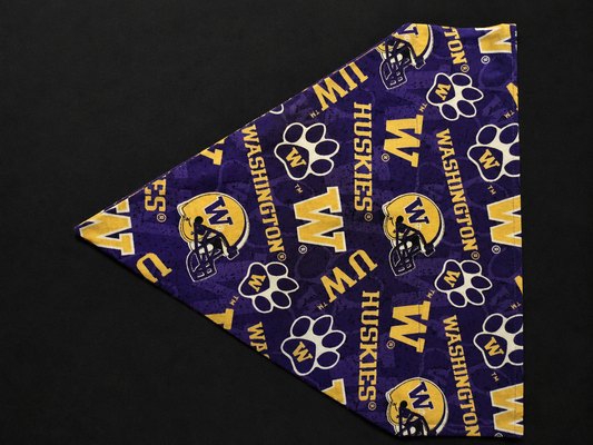 UW Washington Huskies
