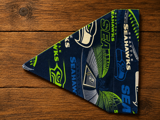 Seahawks Stadium