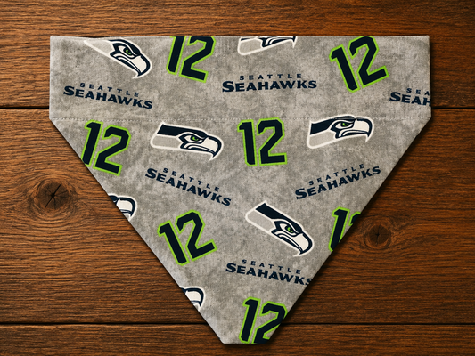 Seahawks Football Gray 12s